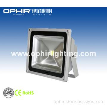 USA BridgeLux 30W LED Floodlight Waterproof
